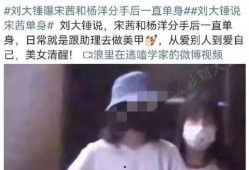 刘大锤最新爆料宋茜,宋茜神秘事件真相揭晓